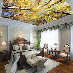 Nghệ Thuật Hiện Đại 3D in không thấm nước <span class=keywords><strong>Pop</strong></span> Trần Thiết kế lá PVC căng Trần cho trung tâm mua sắm trang trí - Product Image 1