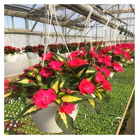 Panier suspendu en plastique, pot de fleurs, produit de jardin pour pépinière