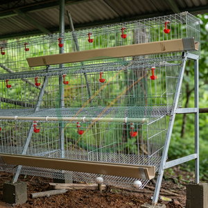 Nouvelle cage à poules pondeuses demi-ensemble pour usage en ferme de jardin, en acier galvanisé à chaud, avec système d'alimentation automatique et de collecte des œufs, garantie 1 an - Product Image 3