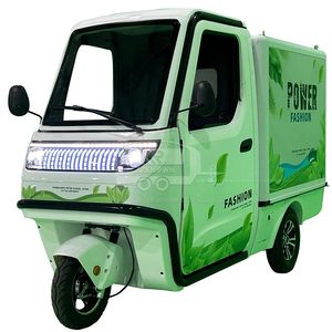 Tricycle électrique réfrigéré pour la livraison de nourriture, chaîne du froid, vélo cargo à trois roues, chariot congélateur mobile - Product Image 4