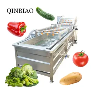 Luftblase Tomatenkerne-Sortiermaschine Reinigung und Trocknung Gemüse Obst Waschmaschine