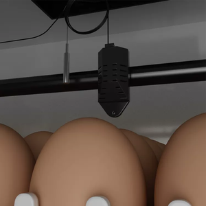 Incubadora huevos de Gallina gà trứng lồng ấp 5000(5280) công suất tự động Máy Ấp Trứng ngỗng Vịt Chim Cút - Product Image 6