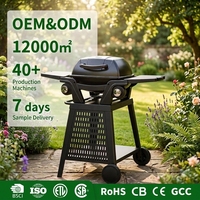 Barbecue à gaz portable 2 brûleurs pour le camping en plein air, idéal pour les voyages, avec tables latérales amovibles, fabricant OEM ODM