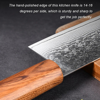 3,5 inch professioneel VG10 Damascus staal keukenmes, schilmes, fruitmes met premium Cuibourtia houten handvat