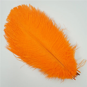 <span class=keywords><strong>Plumas</strong></span> <span class=keywords><strong>de</strong></span> avestruz grandes largas naturales <span class=keywords><strong>de</strong></span> 35-40 cm al por mayor para boda, fiesta, comedor, centro <span class=keywords><strong>de</strong></span> mesa, jarrón, decoración, lámpara <span class=keywords><strong>de</strong></span> casa, pluma - Product Image 5