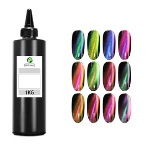 High Quality Magnetic Nail Polish custom Color 9D Sparkle Holographic Aurora Colors Gel Nail Polish