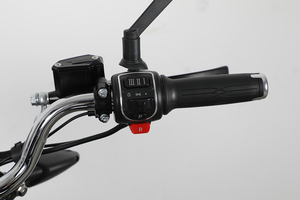 Motocicleta Eléctrica para Adultos, Scooter Eléctrico de 1500w, Excelente Estabilidad de Conducción en Caminos con Baches - Product Image 5