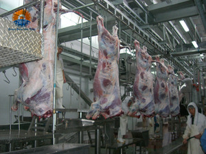 Machine d'abattage de bovins entièrement automatique avec pompe <span class=keywords><strong>à</strong></span> moteur, équipement d'abattage de conception libre pour ligne de transformation de la viande de bœuf - Product Image 5