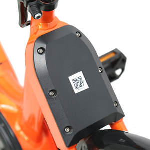 Bicicleta Eléctrica TXED Personalizada de 36V/250W de Una Velocidad para Adultos, con Batería de Litio, Motor en la Rueda Trasera, Cuadro de Aleación, Alcance de 70 km - Product Image 4