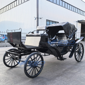Fabricant de chariots de luxe électriques pour le tourisme, chariots de mariage, chariots de tourisme électriques sans chevaux à vendre - Product Image 2