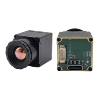 Module d'imagerie thermique pour drones FPV prêt à l'emploi avec double interface CVBS et USB-C disponible en résolution 256/384/640