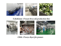 Ligne de pasteurisation et de séchage à l'air HRTY pour sachets alimentaires ; Stérilisateur continu à bain-marie pour sachets rétractables et sachets à fond plat
