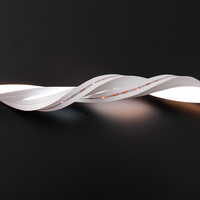 NE1616 Flexible 3D Free Bending 2700K-6500K Mini Cut Anti-UV-sel IP67 Outdoor Decorative 24V Silicone Led Neon Strip Light