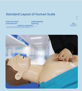 Maniquí <span class=keywords><strong>de</strong></span> Entrenamiento <span class=keywords><strong>de</strong></span> RCP <span class=keywords><strong>de</strong></span> Cuerpo Completo con Indicador LED y Retroalimentación <span class=keywords><strong>de</strong></span> Voz - Modelo <span class=keywords><strong>de</strong></span> Simulación <span class=keywords><strong>de</strong></span> <span class=keywords><strong>Primeros</strong></span> <span class=keywords><strong>Auxilios</strong></span> Médicos para Enseñanza - Product Image 4