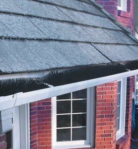 カスタマイズされたステンレス鋼ガターガードヘッジホッグガターブラシ屋根洗浄用 - Product Image 6