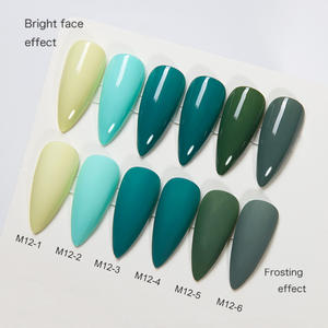 AILANUO Nail Factory's 6-Color Nail Gel Polish Set para Otoño Invierno OEM personalizado marca privada con lámpara LED botella Material imán - Product Image 2