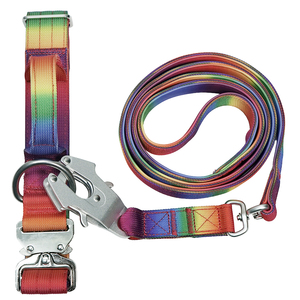 Rainbow Gradient Nylon Dog <b>Collar</b> & Leash Set, Heavy Duty with Luxury Metal Buckle for Medium Large Dogs - Product Image 4
