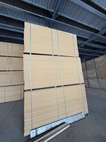 Portes intérieures en MDF de marque ZST, panneaux en bois, design moderne shaker, écologiques, norme E1, surface brillante, panneaux acoustiques perforés