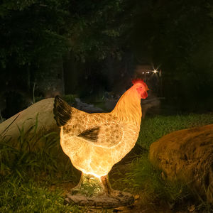 Lámpara LED con Forma <span class=keywords><strong>de</strong></span> <span class=keywords><strong>Gallo</strong></span> y Gallina, Luces Creativas para Jardín, Decoración para Balcón y Patio, Lámpara Solar <span class=keywords><strong>de</strong></span> Resina - Product Image 5