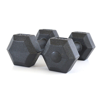 Système d'haltères hexagonaux Dip in Dumbell en plastique personnalisé ensembles d'haltères hexagonaux