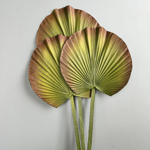 Feuilles de <span class=keywords><strong>palmier</strong></span> rondes à volants simples, feuilles de <span class=keywords><strong>Licuala</strong></span> Grandis, art floral, plantes artificielles, simulation de plantes pour la décoration intérieure - Product Image 4