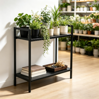 Support de plantes minimaliste à 2 niveaux en métal, revêtement poudré, anti-rouille, robuste, gain de place, pour salon, balcon, bureau, vente en gros, OEM