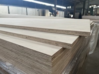 Prix avantageux Contreplaqué commercial en bouleau naturel massif 18 mm Placage de bouleau Qualité mobilier de première classe E0 Formaldéhyde moderne Garantie 1 an