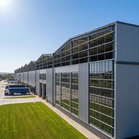 Fabricante Chino de Almacenes de Estructura de Acero de Diseño Profesional para la Agricultura