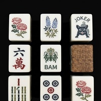Jeu de Mahjong de Luxe en Acrylique Prune, Portable, pour Voyage, Jeu de Mahjong Chinois, Dominos Colorés Personnalisés, Divertissement Familial