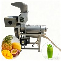 Extracteur manuel éthiopien de jus de fruits machine de fabrication de jus en poudre machine d'extraction de jus de tomate orange