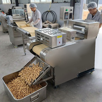Machine industrielle de fabrication de snacks frits pour bâtonnets de pâte à base de farine de riz, machine de découpe de formes personnalisées avec une production élevée de 1000 kg/h