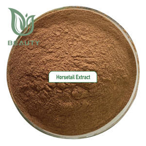 Poudre d'extrait de prêle en silice 80% organique Supplément à base de plantes de haute pureté pour les soins de la peau Sac de pièces de feuilles d'herbes de qualité alimentaire - Product Image 2