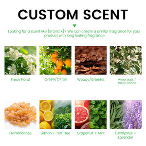 Desodorante en Barra Orgánico para el Cuidado de la Piel, Antitranspirante para Hombres y Mujeres, Desodorante Natural Hipoalergénico con Probióticos - Product Image 4