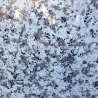 G439 carreaux de granit blanc à grande fleur 60x60 carreaux de granit et carreaux de sol et de mur
