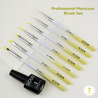 Nouvel ensemble professionnel de pinceaux pour nail art 2026 avec manche en acrylique dégradé, pinceau de précision en nylon pour la peinture et le design de vernis gel