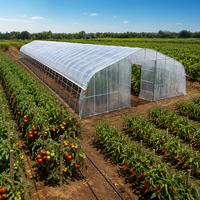 Serre en film mono-voûte équipée de systèmes de refroidissement et d'irrigation, adaptée à la culture des fraises et des légumes-feuilles