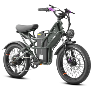 Eahora Cupidon <span class=keywords><strong>Cargo</strong></span>-Vélo électrique électrique de 1000W pour adulte, vélo tout-terrain hybride, avec livraison gratuite, stock en UE - Product Image 3