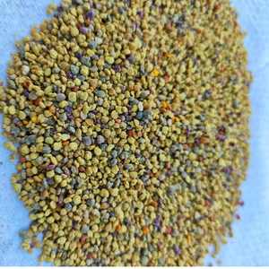 Polen de Abeja de Colza Fresco de Alta Calidad, Polen de Abeja Mixto en Polvo, 100% Puro, Polen de Abeja de Colza al por Mayor - Product Image 6