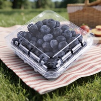 125g 250g 500g emballage de fruits en plastique boîte fruits baie framboise fraise myrtille conteneur à clapet avec trous