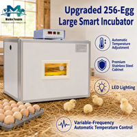 Incubateur entièrement automatique en acier inoxydable pour 256 œufs, retournement des œufs à 360°, double alimentation (220V/12V), contrôle intelligent de la température et de l'humidité, pour poulets