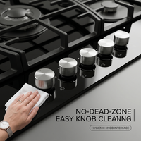 Nouvelle arrivée : cuisinière à gaz naturel intégrée à 5 brûleurs avec dessus en verre, allumage électronique, haute efficacité, cuisinière de cuisine
