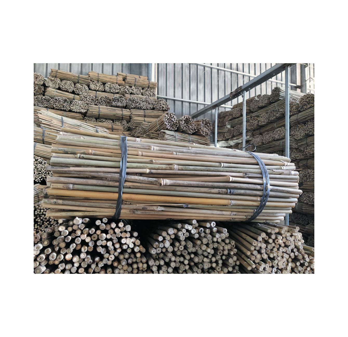 Самые продаваемые натуральные сильные сухие бамбуковые стойки для сада, садовых опорных лесов, бамбуковые стойки