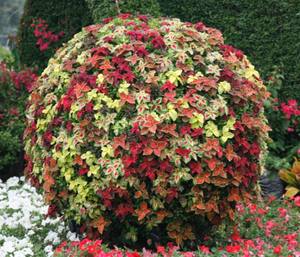 Maceta Grande Gigante de Plástico con Forma de Bola, Maceta para Exteriores, Ecológica y Duradera - Product Image 5