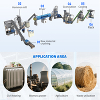 Vente chaude Énergie verte 5tph 10tph Ligne de production de granulés de bois entièrement automatisée à partir de paille de maïs, de tiges de maïs, de bagasse de canne à sucre