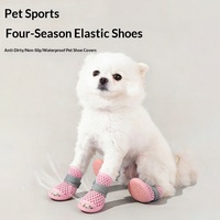 Nouvelles sandales d'été décontractées en maille respirante pour petits chiens, chaussures d'extérieur antidérapantes avec sangle élastique, mignonnes