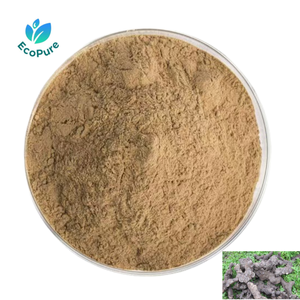 Extrait de Polyporus Umbellatus 30% 50% Polysaccharide de Polyporus <span class=keywords><strong>pour</strong></span> Compléments Alimentaires Aliments Fonctionnels Produits de Bien-être Quotidien - Product Image 1