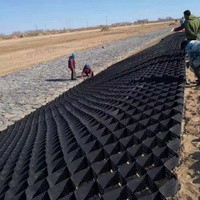Grille de stabilisation de gravier en HDPE pour parking, allée et aménagement paysager