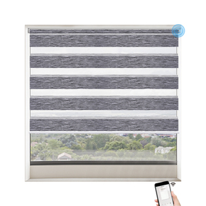 Deyi-cortinas eléctricas inteligentes para decoración del hogar, <span class=keywords><strong>doble</strong></span> capa, transparentes y a rayas, <span class=keywords><strong>con</strong></span> filtro de luz, motorizadas, cebra - Product Image 1