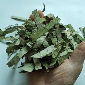 Nuove strisce naturali di foglie di loto a fette di colore verde - Product Image 5