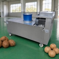 Machine automatique commerciale de décorticage et de polissage de noix de coco brunes, machine à éliminer les fibres de noix de coco